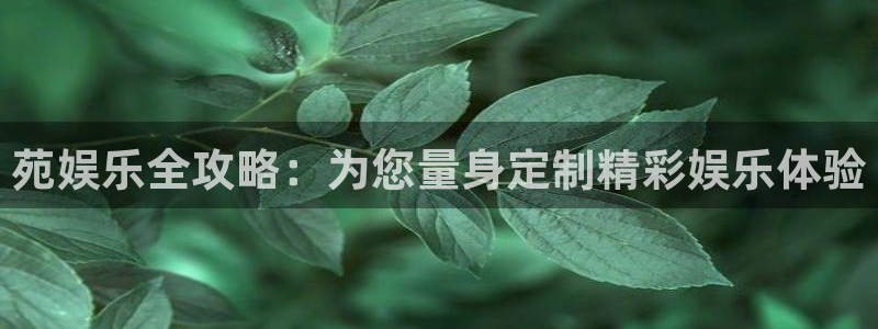 杏鑫娱乐