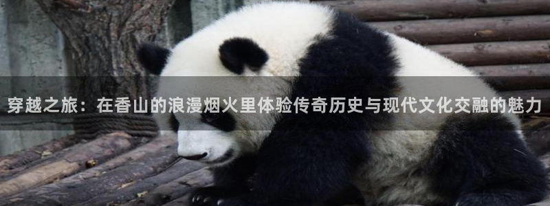 杏鑫娱乐
