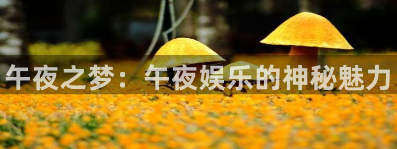杏鑫娱乐